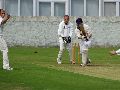 Blackie batting