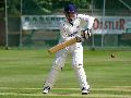 LJ batting