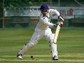 LJ batting