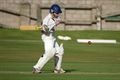 Gav batting