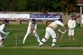 Rossie's Bruce Dyer batting