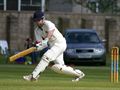 Chic batting