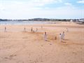 Elie