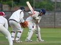 Craig batting