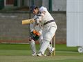 Tom batting