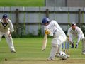 Robert batting