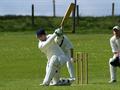 elliot batting.jpg